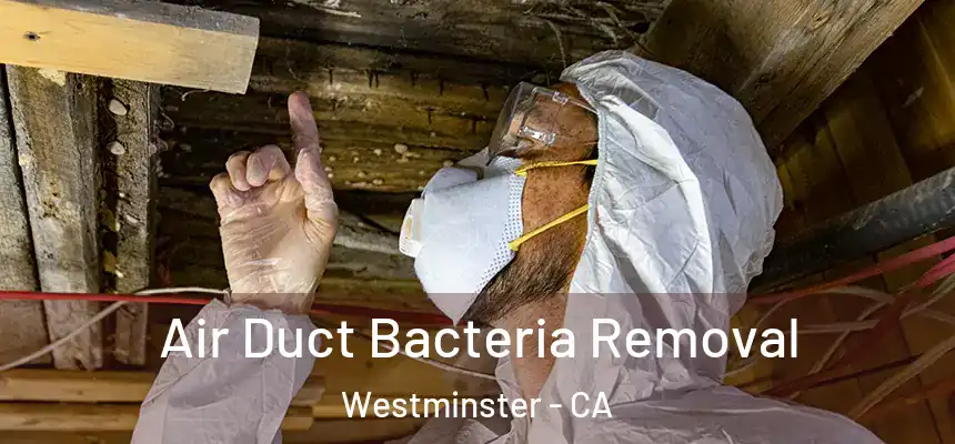 Air Duct Bacteria Removal Westminster - CA