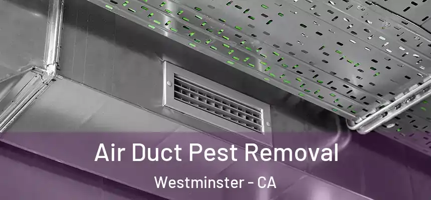 Air Duct Pest Removal Westminster - CA