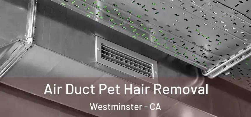 Air Duct Pet Hair Removal Westminster - CA