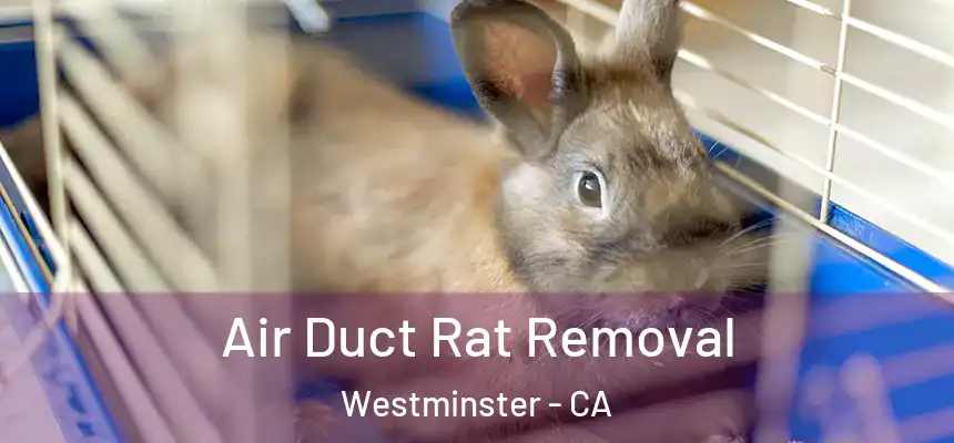  Air Duct Rat Removal Westminster - CA