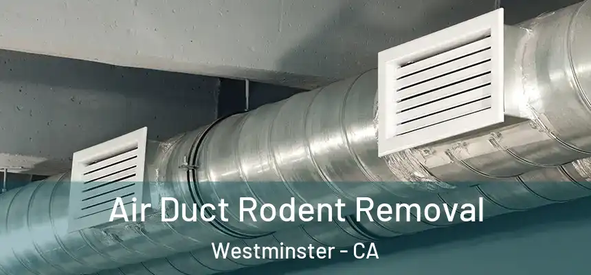 Air Duct Rodent Removal Westminster - CA