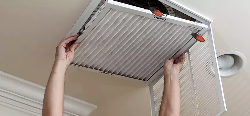 Preventive Cockroach-Proofing for Ducts in Westminster