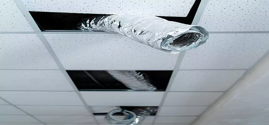 Our Air Duct Pet Hair Removal Services in Westminster, CA