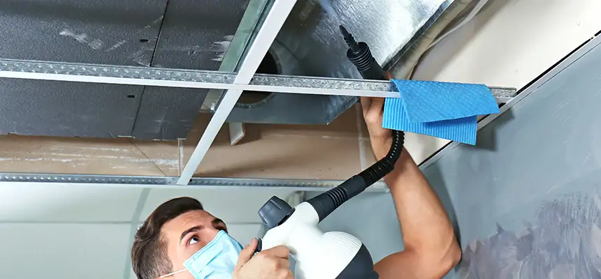 Our Air Duct Rodent Removal Services in Westminster, CA