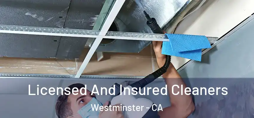  Licensed And Insured Cleaners Westminster - CA