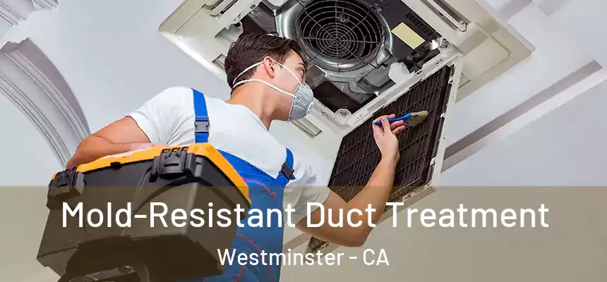 Mold-Resistant Duct Treatment Westminster - CA