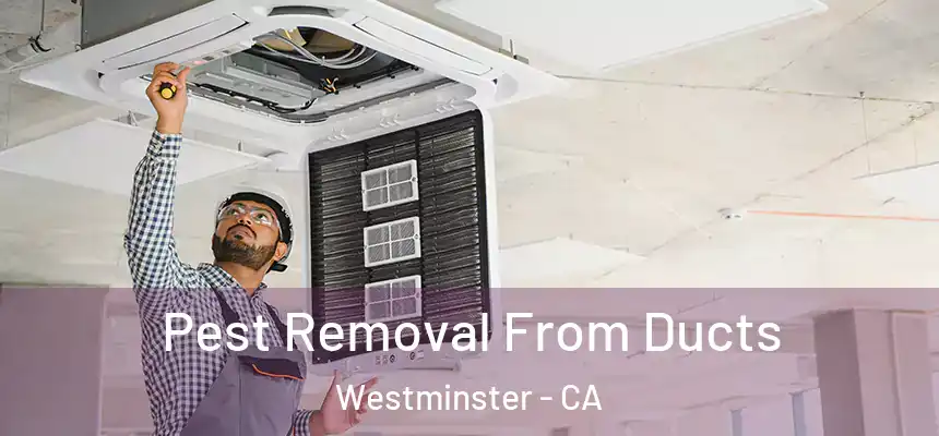  Pest Removal From Ducts Westminster - CA