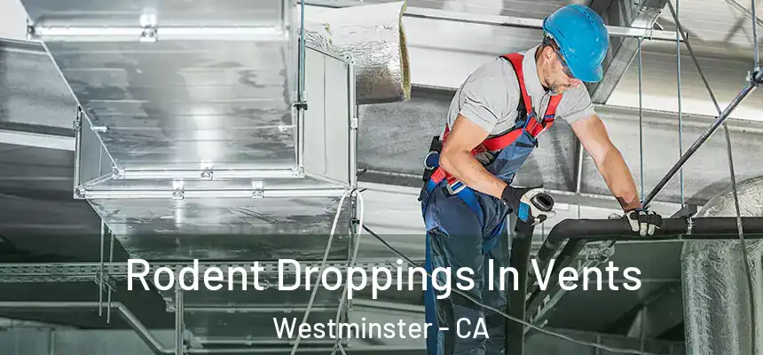  Rodent Droppings In Vents Westminster - CA