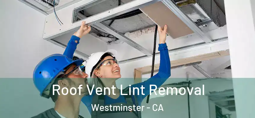 Roof Vent Lint Removal Westminster - CA