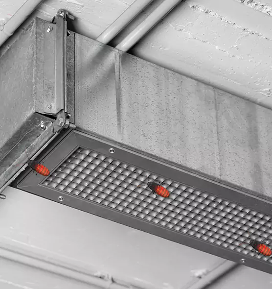 About Air Duct Cockroach Removal in Westminster, CA