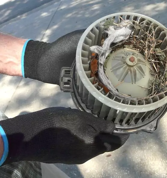 About Air Duct Mice Removal in Westminster, CA