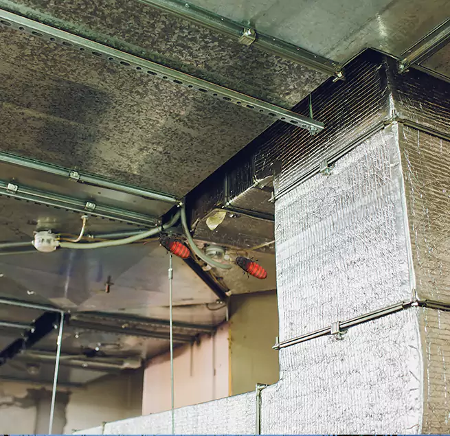 Why Homeowners & Businesses Trust Us in Westminster, CA?