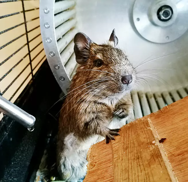 Why Homeowners & Businesses Trust Us Westminster, CA?