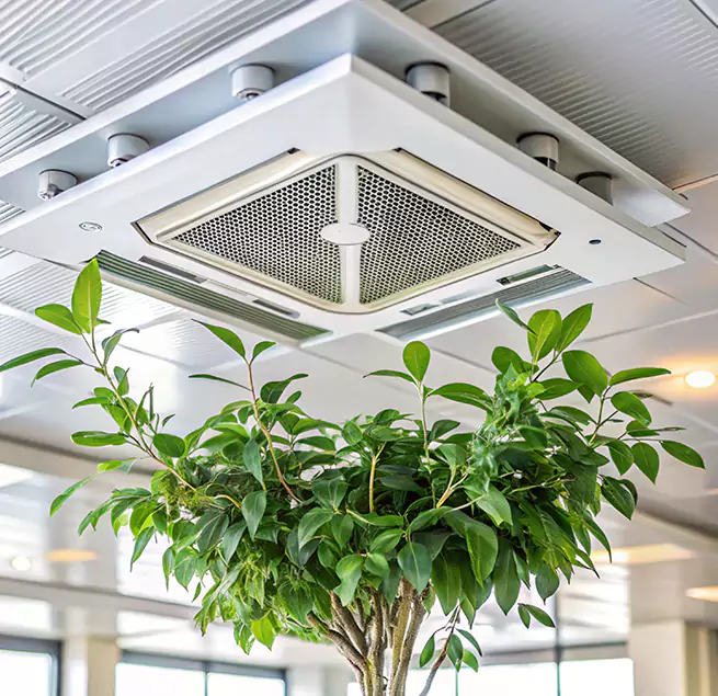 Why Homeowners & Businesses Trust Us in Westminster, CA?